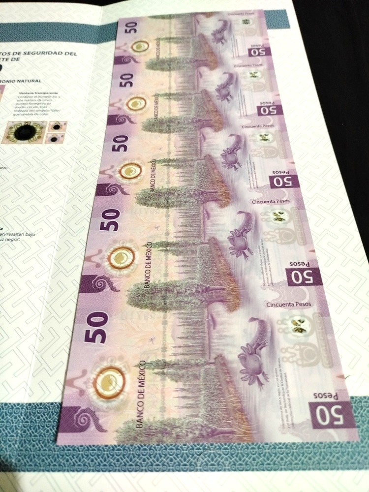 5 Billetes sin recortar $50 Pesos Ajolote con Folder Oficial de Banco de México - Imagen 8