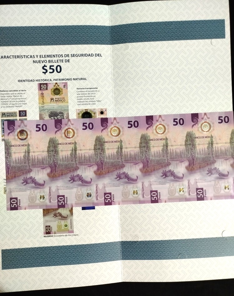 5 Billetes sin recortar $50 Pesos Ajolote con Folder Oficial de Banco de México - Imagen 9