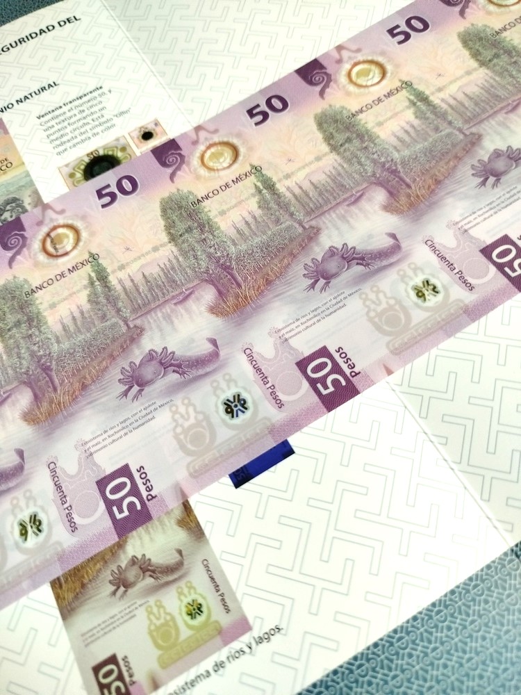5 Billetes sin recortar $50 Pesos Ajolote con Folder Oficial de Banco de México - Imagen 10