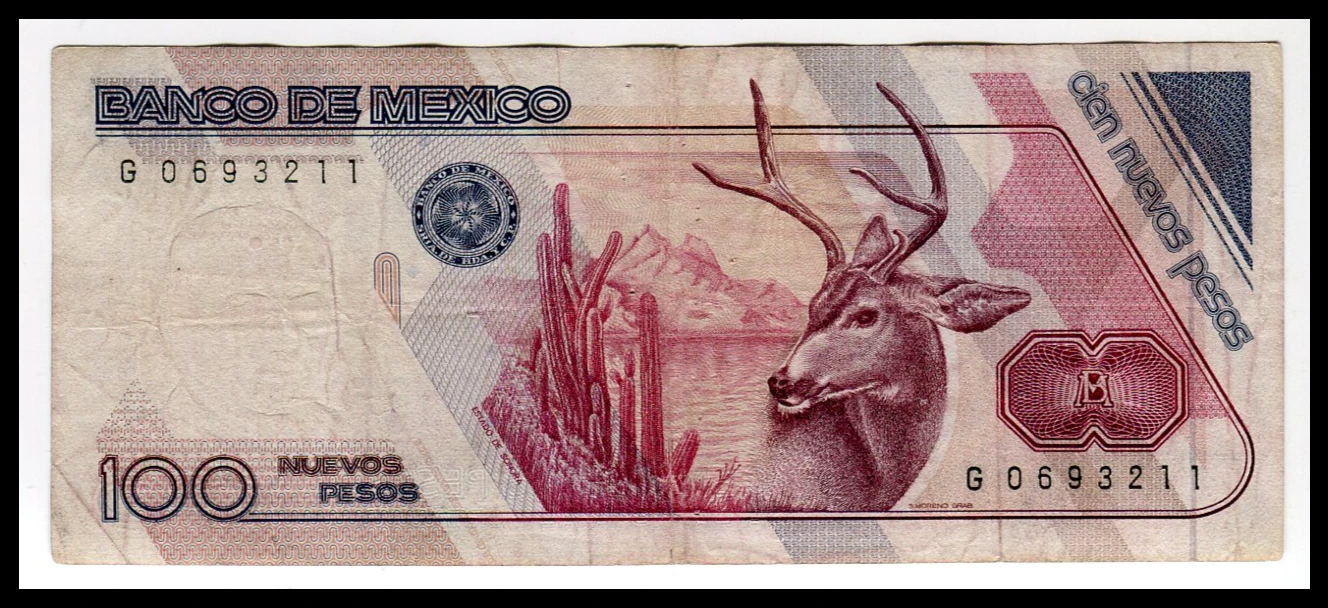 Billete 100 Nuevos Pesos Putarco Elias Calles - (Condición Usado - Grado: F "Fine") - Imagen 3